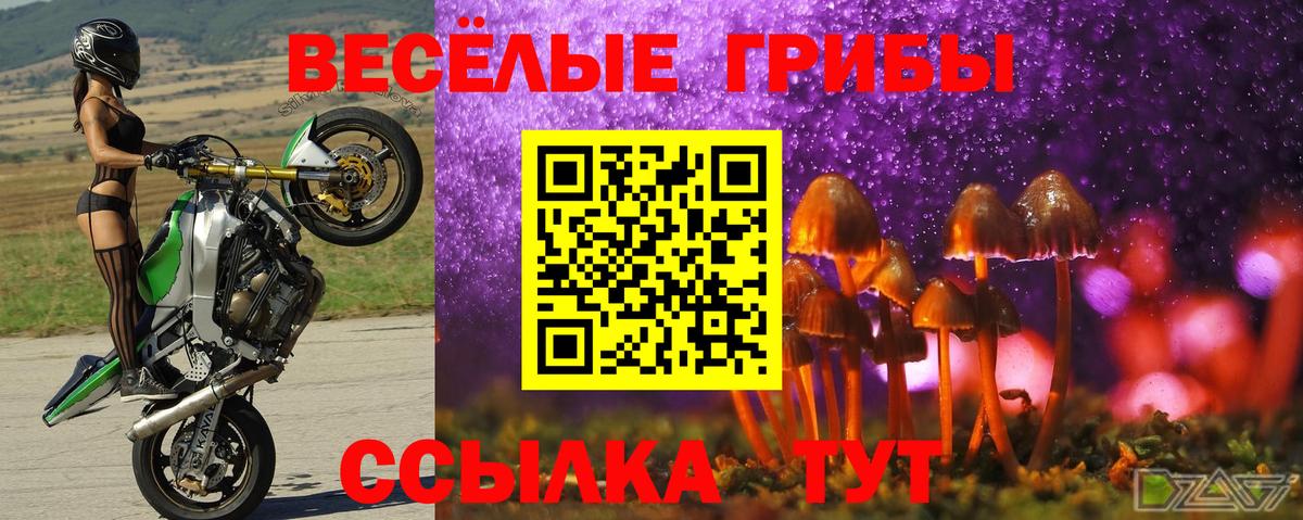 Серов  Галлюциногенные грибы ЛСД  Вход с VPN 